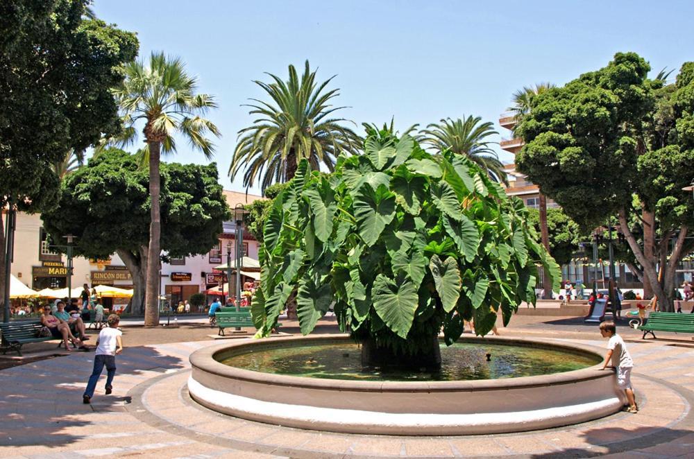 Heaven In Canary Islands 88 Appartement Puerto de la Cruz  Buitenkant foto